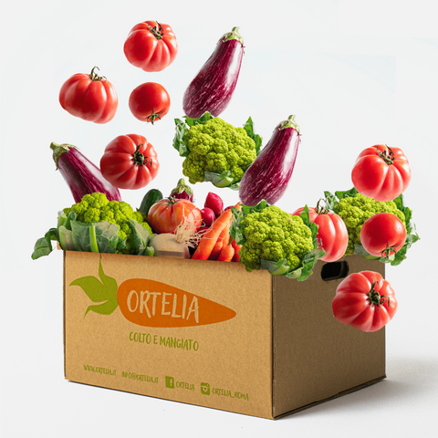 Ortelia-box-frutta-verdura-fresca-a-domicilio