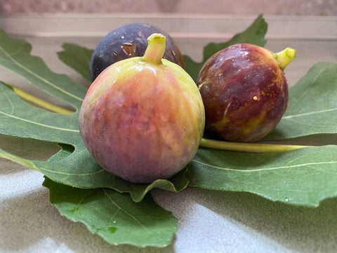 Fichi 1kg
