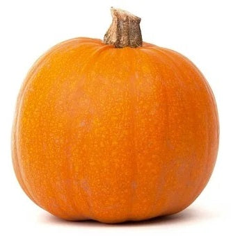 zucca